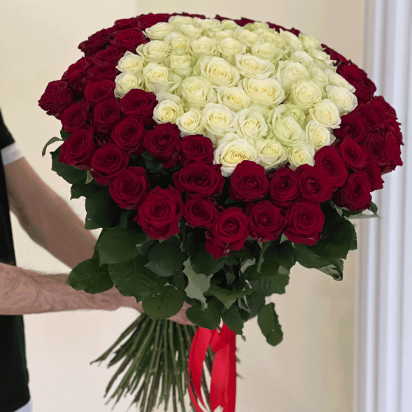 101 роза красная и в середине белая в Керчи
