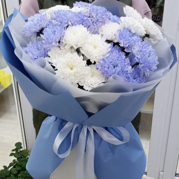 7 белых и голубых хризантем  в Керчи