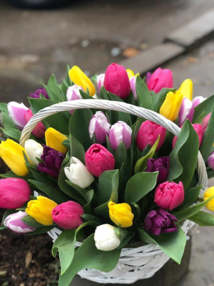41 тюльпан микс в корзине в Керчи