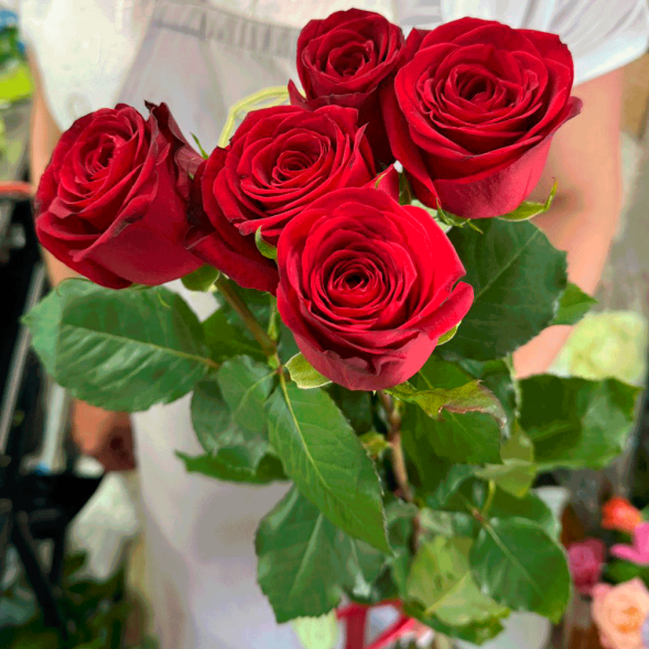 5 красных роз в Керчи