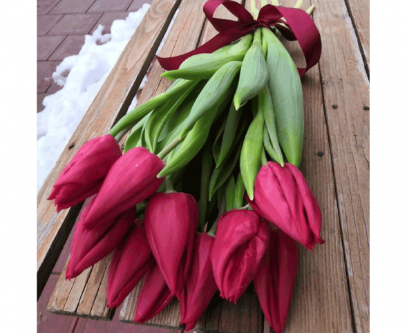 11 красных тюльпанов, лента в Керчи