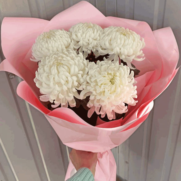 Букет 5 одноголовых хризантем в Керчи