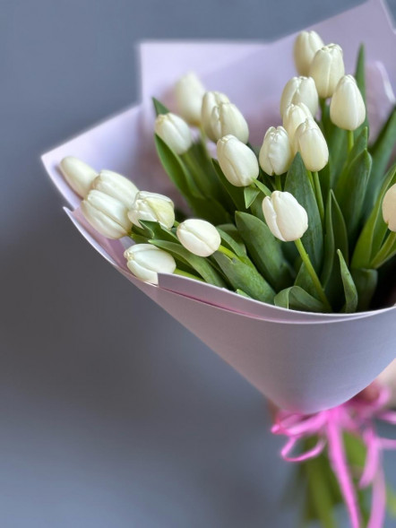 21 белый тюльпан в Керчи