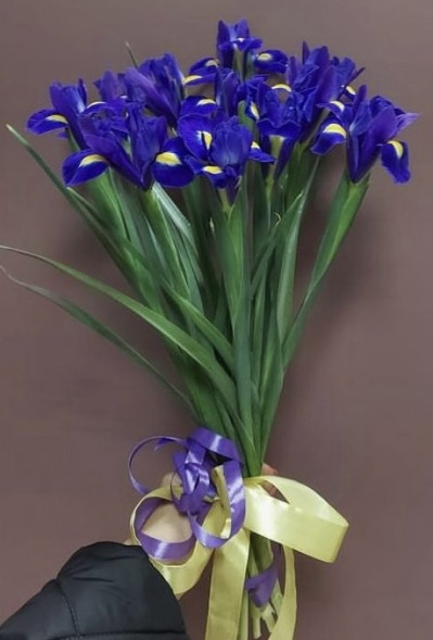 Букет 11 ирисов  в Керчи