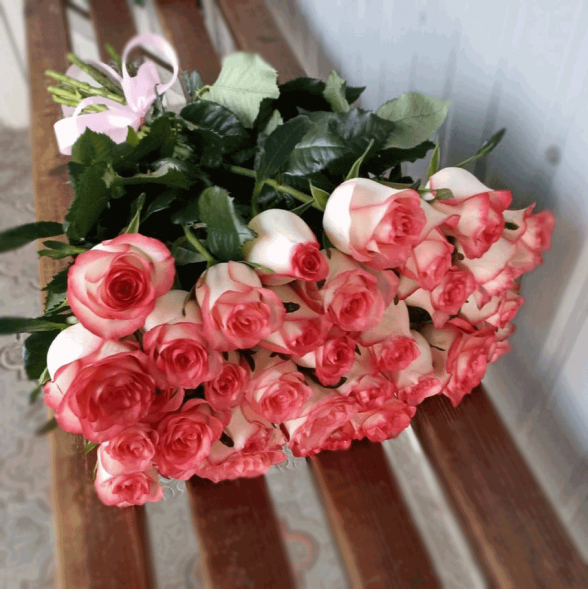 31 розовая роза в Керчи