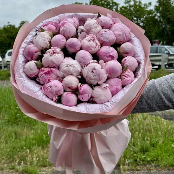 29 пионов &quot;Сара-Бернар&quot; в нежно-розовой упаковке в Керчи